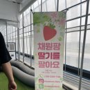 채원농원 이미지