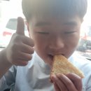 몽토스트