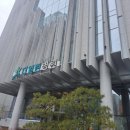 더열린병원 | 대구 관절 전문 병원 더 열린 병원 연골파열 수술 후기