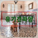 이천동물복지센터 이미지