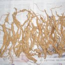 예산읍011 이미지