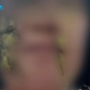 대전검찰어린이집 이미지