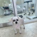 마음이네 멍발소 이미지