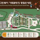 나무 | 강동그린웨이 가족 캠핑장 :: 자작나무 후기 서울 캠핑장 당일치기 자리추천