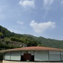 빌라누트(villa nute)/가평 반려견동반 감성숙소/청하가든 막국수