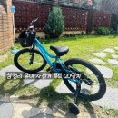 용산-110 | 삼천리 유아 자전거 루트 20인치 110cm 6세 남아 후기