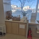 초곡나무동물병원 이미지