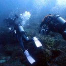 스킨스쿠버, 스킨다이빙(화) 이미지