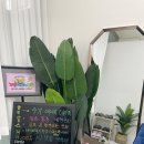 금비체형관리 이미지