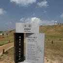 가야노무법인