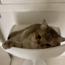 까사블라 앞 | [2025.07-08] 스페인_바르셀로나 여행 2일 차