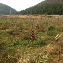 상창농장 이미지