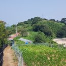 목섬민박 이미지