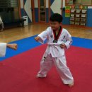 경희튼튼태권도 이미지