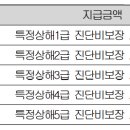 갱신형 특정상해진단비보장 특별약관 (특정상해(1~5급)의 정의 및 진단확정) 이미지