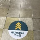 오천약국 | 용산 메디킹덤 | 800평 창고형 약국에서 10만원 쓰고온 후기 💊