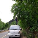 동일정비 이미지