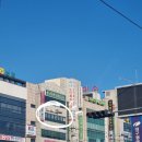 나이스바디