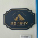 부산광역시 동구 자성로 141번길 이미지