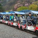 문경 철로자전거(가은역) 이미지