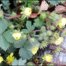 방파제횟집 이미지