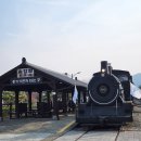 지호농장 | 곡성 섬진강 기차마을 가족여행코스 총정리｜동물농장·놀이기구.4D영상관까지 알찬 하루