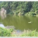 대벌농장 이미지