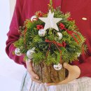 (킬링힐링)로맨틱 플라워 클래스 | 사당역 꽃집 히포미 크리스마스 콘트리 만들기 원데이 클래스 이색 데이트 추천