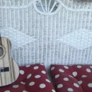 우쿠렐레 이미지