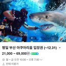 주식회사 스타트존 | 여행특공대 티켓으로 저렴하게 SEA LIFE 부산 아쿠아리움 뽀갠 후기