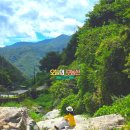 금수촌집 이미지