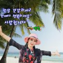 라이브스토리 Daum카페