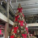 높은데이 스테이 이미지