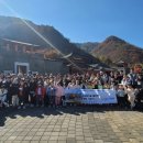 충주 용원초 충북일보