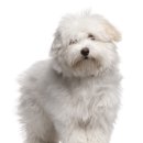 21세기동물병원 이미지