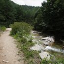 금산-52 이미지