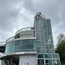 코우코알라 이미지