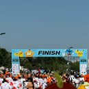 한강세탁 | [서울/뚝섬한강공원] 포켓몬 잉어킹런 후기 / 러린이 / 5km 마라톤
