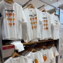 아이엔유(I U) | [서귀포 유니클로] 제주도에서만 구매 가능한 U티 추천