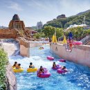 여름도겨울 | 홍천 비발디파크 오션월드 아이랑 여름,겨울 다녀온 후기 및 정보