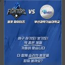 비비큐 치킨 문학점 | 불꽃야구 9번째직관 yes24예매 방송 인천문학경기장 ssg랜더스필드 굿즈 좌석 주차 먹거리 꿀팁