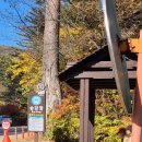 강원도 오대산국립공원 상원사~선재길~월정사~전나무숲길 트레킹코스 강원도 평창 걷기좋은 길