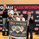 VIP태권도 티스토리