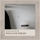 하나아파트경로당 | 벽구멍 수리 인천 가좌동 빌라 행거 설치 중 파손된 석고보드 복원