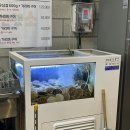 우판사판황제소갈비살 | 대구 칠곡 소고기 맛집 첫눈에반했소🐂태전동 황제소갈비살 고기집 내돈내산 솔직후기