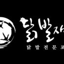 닭발자국 이미지