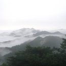 선기로2-8 이미지