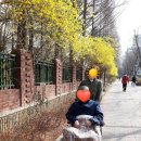 봄내음 재가방문요양센터 이미지