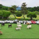 [전라북도 익산시] 대파니힐링팜