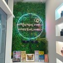 부천 내몸에슈가앤태닝 왁싱 후기 @ 브라질리언 왁싱 후기 / 부천 왁싱 후기 / 부천시청 왁싱